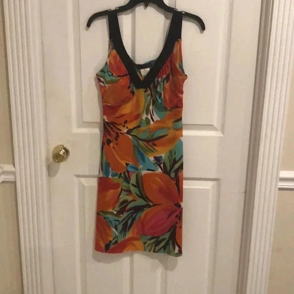Blue sage dress